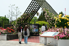 250523a浜寺公園47