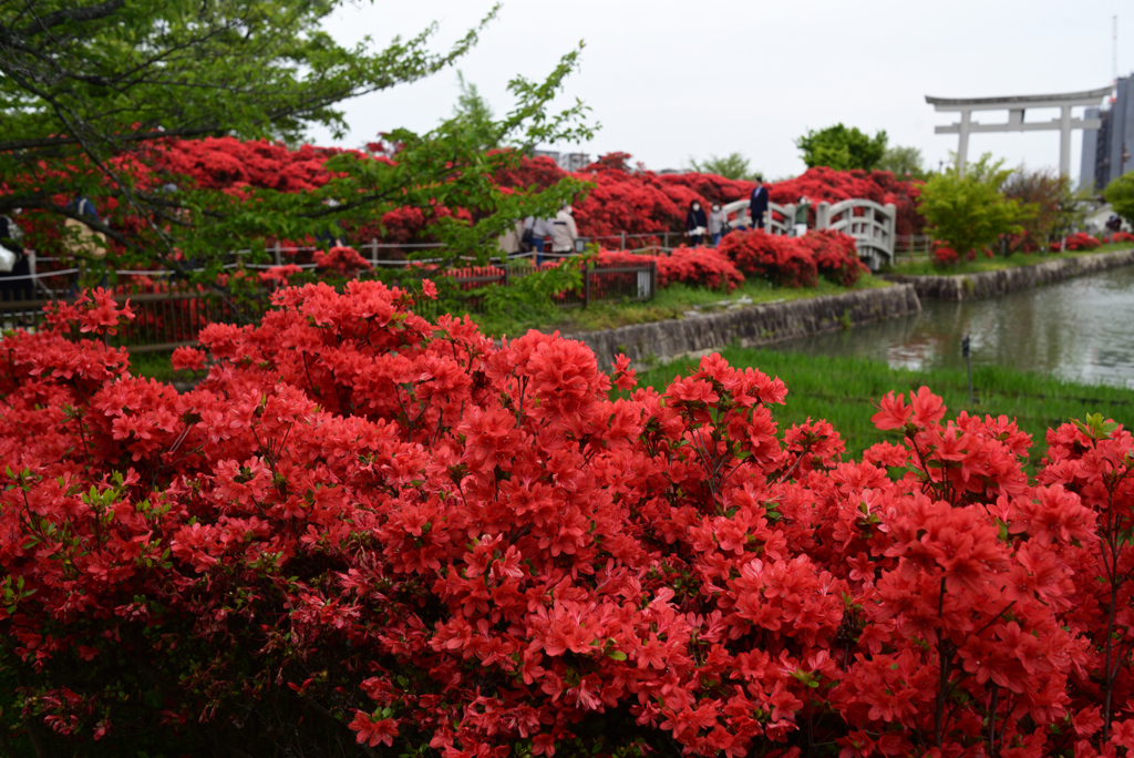 230418a長岡天満宮25