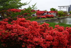 230418a長岡天満宮25