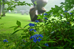 230623e彫刻の森美術館79