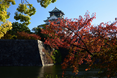 201114大阪城46