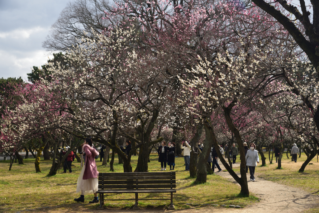 200223c京都御苑29