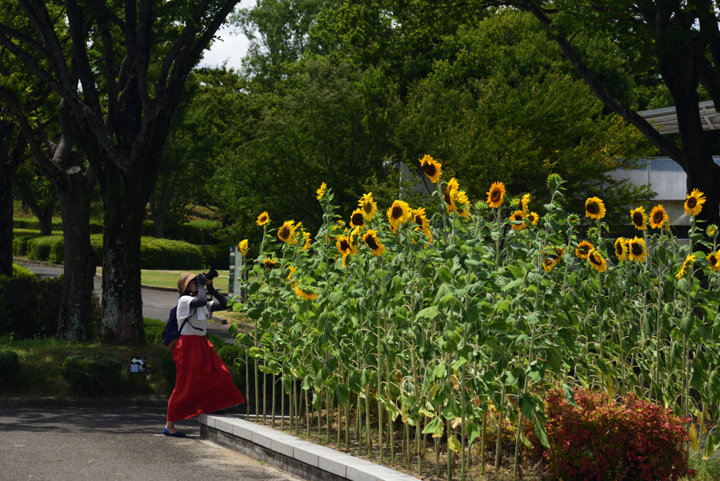 190812万博公園39