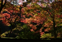 181111c吟松寺59
