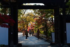 231121c智積院24