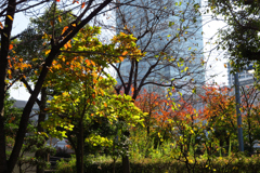 201126慶沢園19