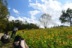 181014万博公園33