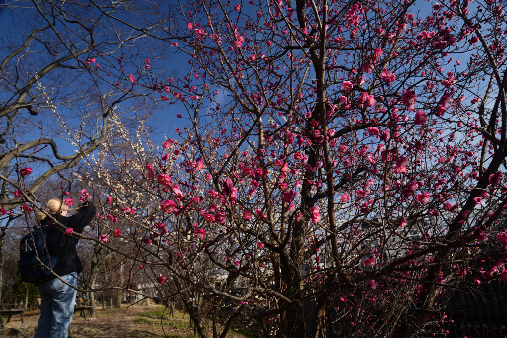 230209c梅小路公園20