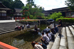 220819i下鴨神社54