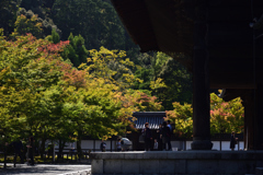 191102a南禅寺13