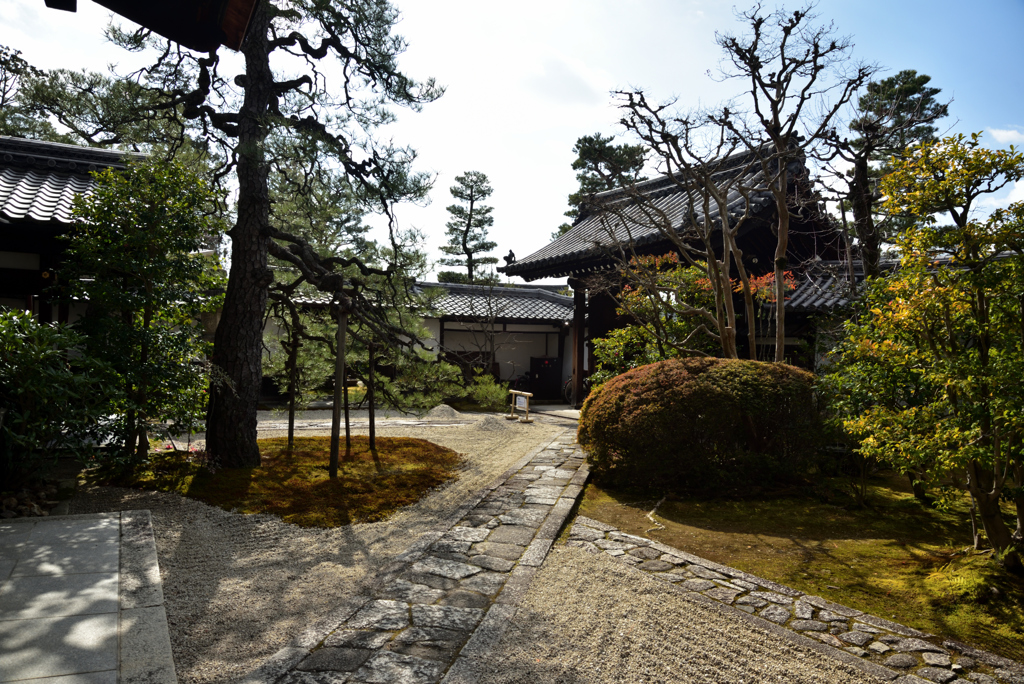 190205b妙心寺龍泉庵47