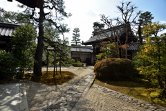 190205b妙心寺龍泉庵47