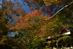 191110c今熊野観音寺31