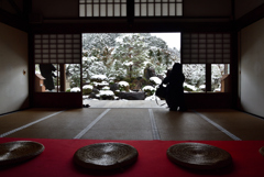 200209a妙満寺10 200209a妙満寺10