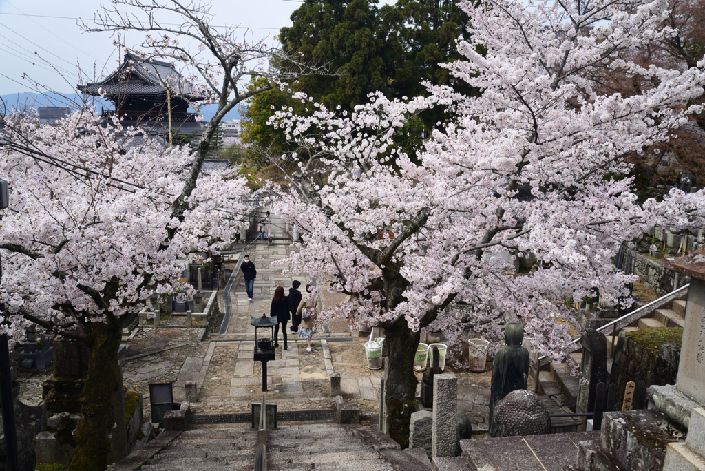 220402c金戒光明寺18