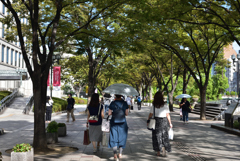 190908c大阪市役所25