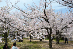 250408a大阪城25