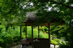 250606妙心寺退蔵院28