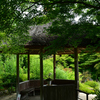 250606妙心寺退蔵院28