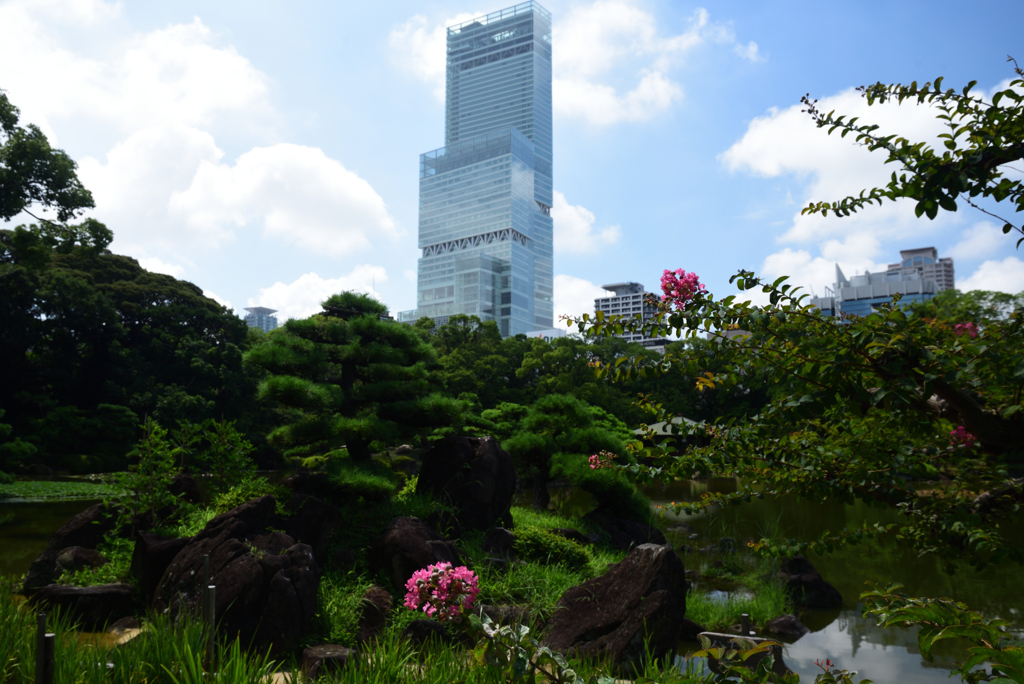 200730慶沢園18