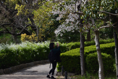 190405a天王寺公園25