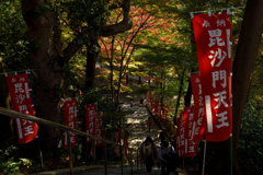 171117毘沙門堂15+