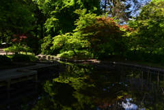 230427京都植物園26