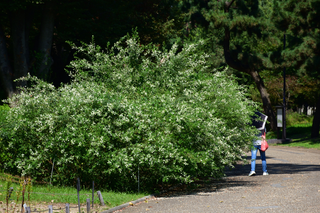 210925長居植物園13
