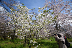 200402a京都植物園61