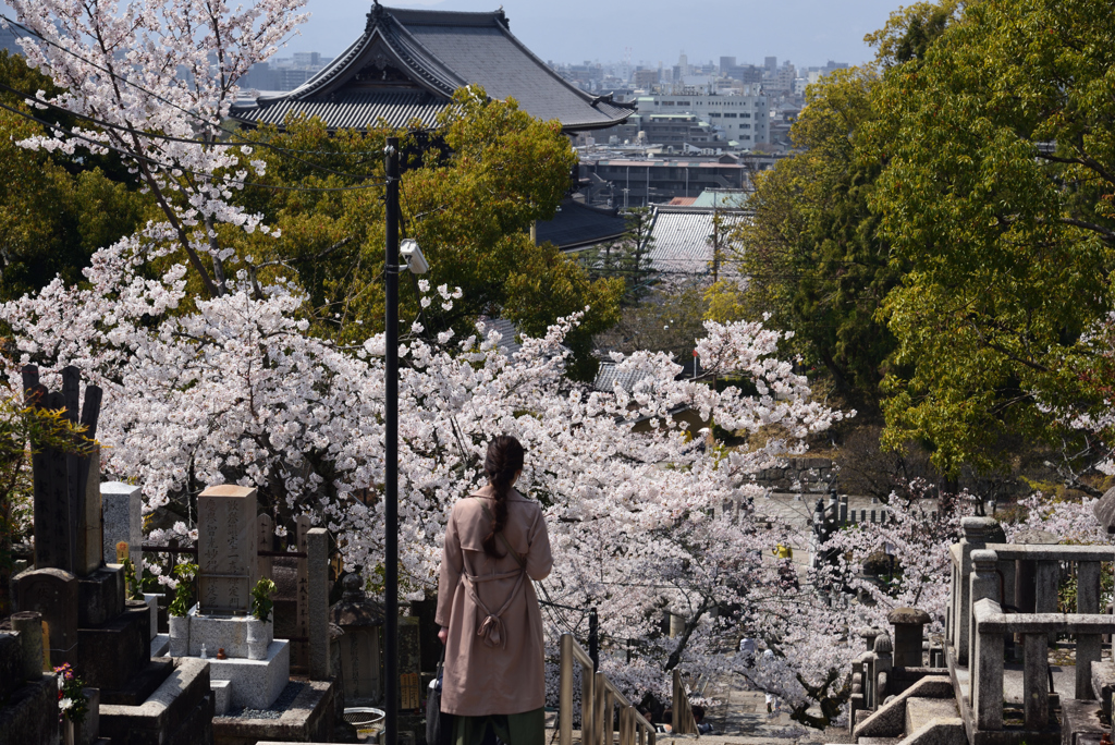 190406b金戒光明寺39