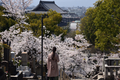 190406b金戒光明寺39