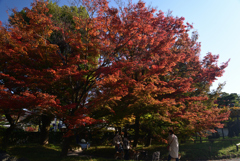 211126a平等院02