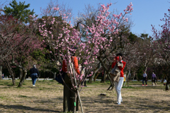 230307b京都御苑27