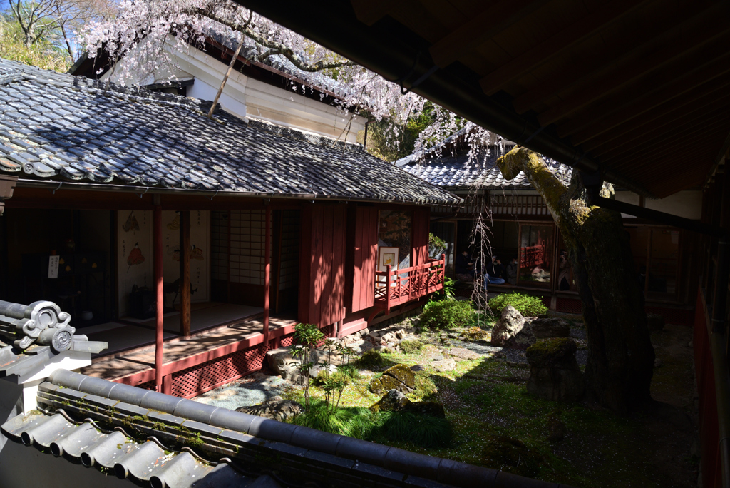 220401a十輪寺18