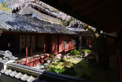 220401a十輪寺18