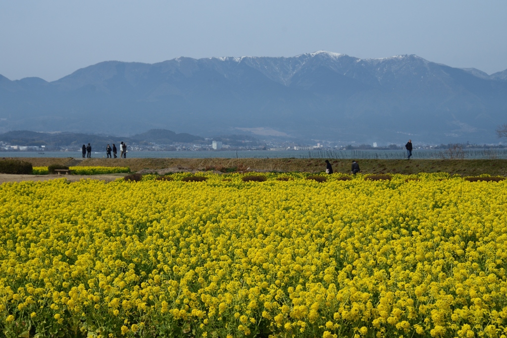180303なぎさ公園45+