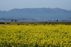 180303なぎさ公園45+