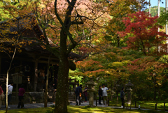 221104b三千院56