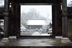 200209a妙満寺03 200209a妙満寺03