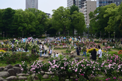 220515b靭公園07