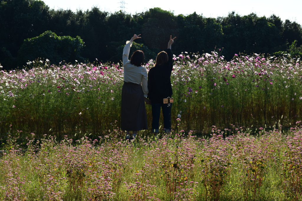 211015万博公園25