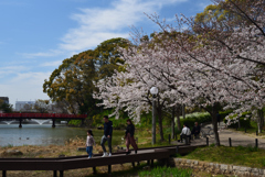 190405a天王寺公園27