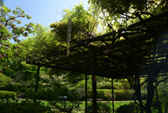 220422梅宮大社36