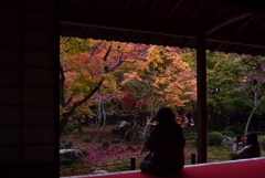 181124b圓光寺15