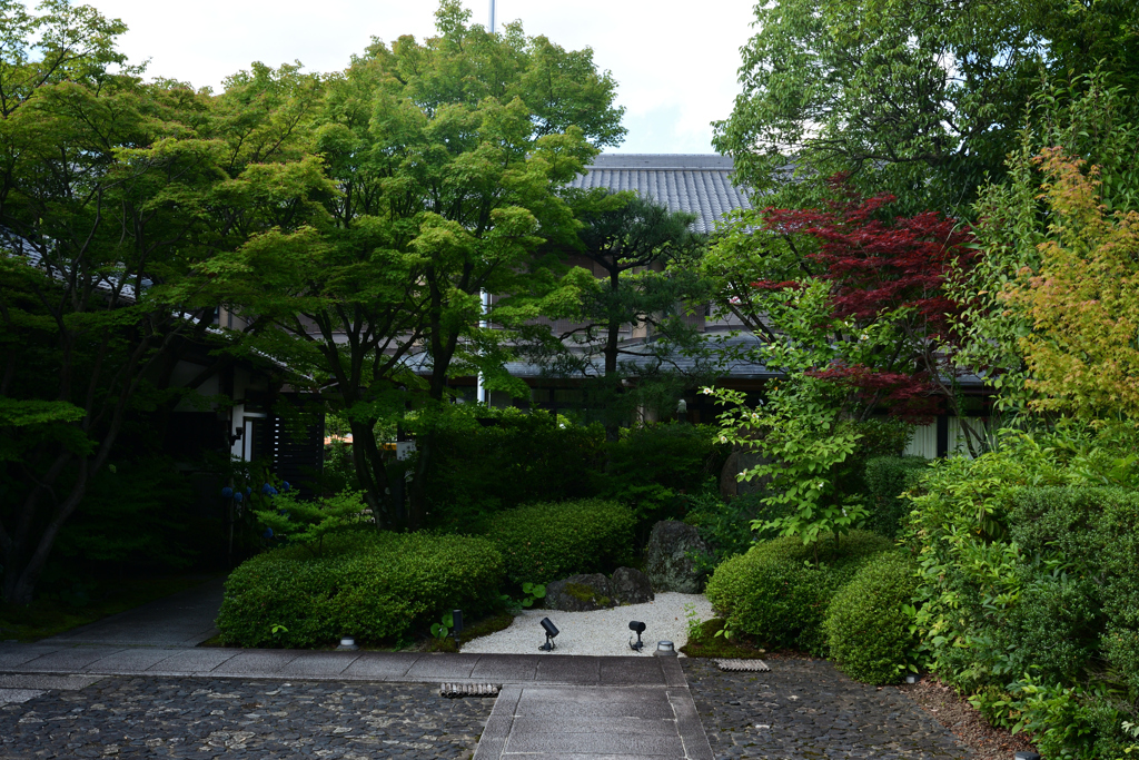 230616d東福寺37