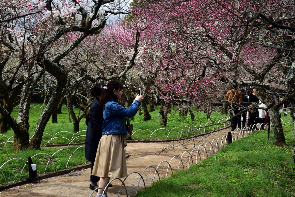 180318b北野天満宮55+