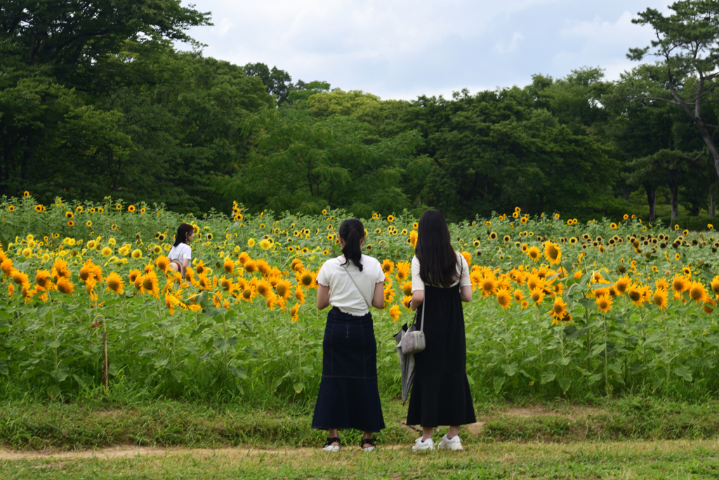 220729万博公園54