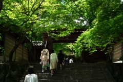 180520b法輪寺06+
