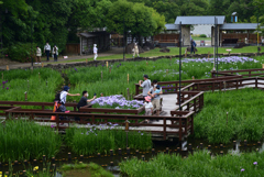 220528山田池公園08