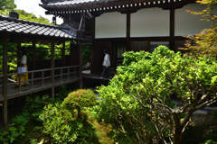 190601c安楽寺14